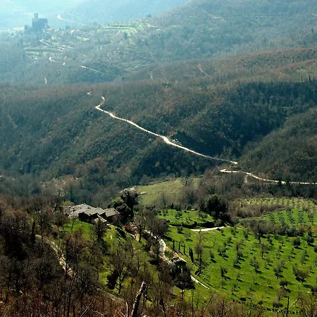 Village Heights #17 Cortona
